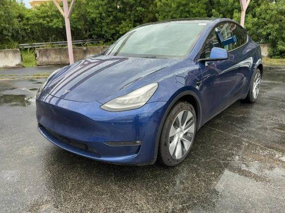 TESLA MODEL Y 2021 5YJYGDEE5MF105344 image